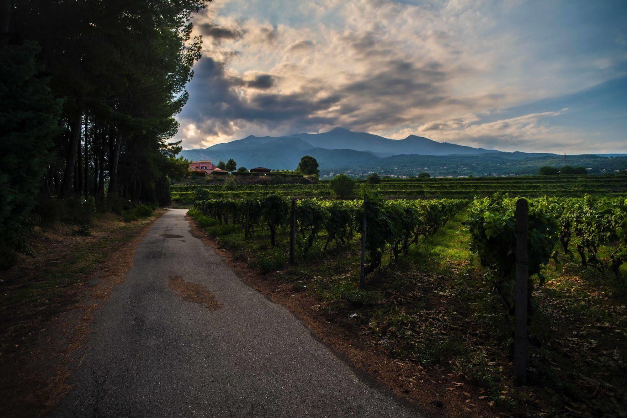 Agriturismo Tenuta San Michele Santa Venerina Exteriér fotografie