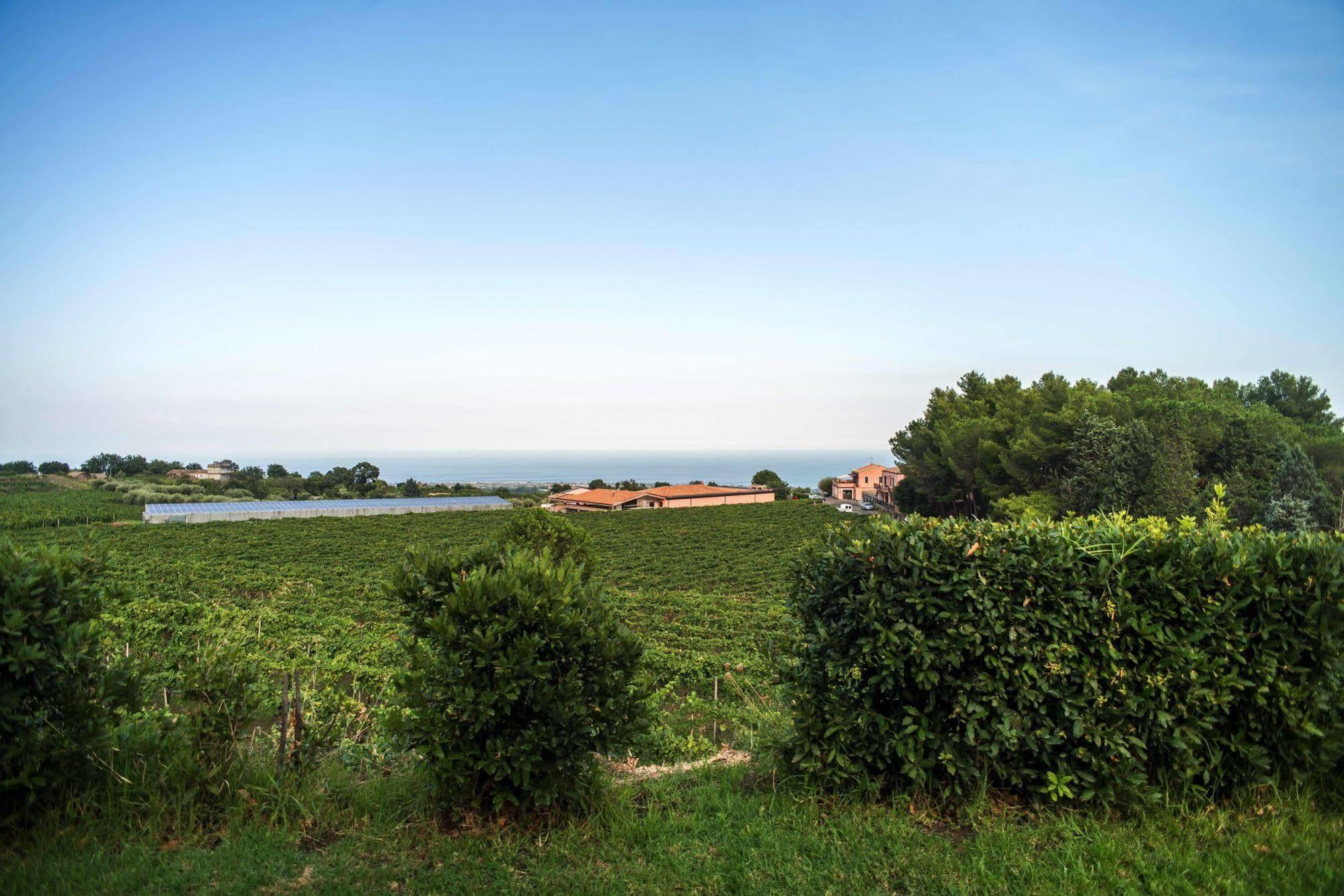 Agriturismo Tenuta San Michele Santa Venerina Exteriér fotografie