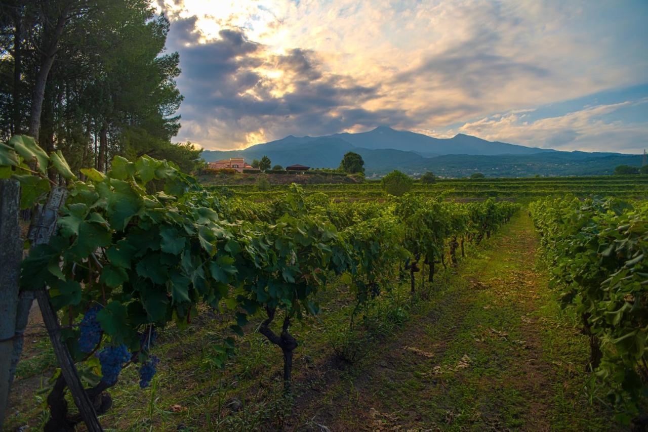 Agriturismo Tenuta San Michele Santa Venerina Exteriér fotografie