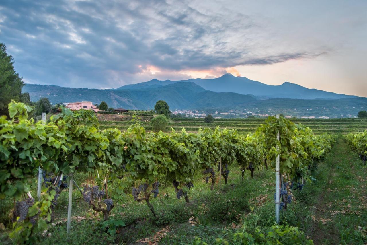 Agriturismo Tenuta San Michele Santa Venerina Exteriér fotografie